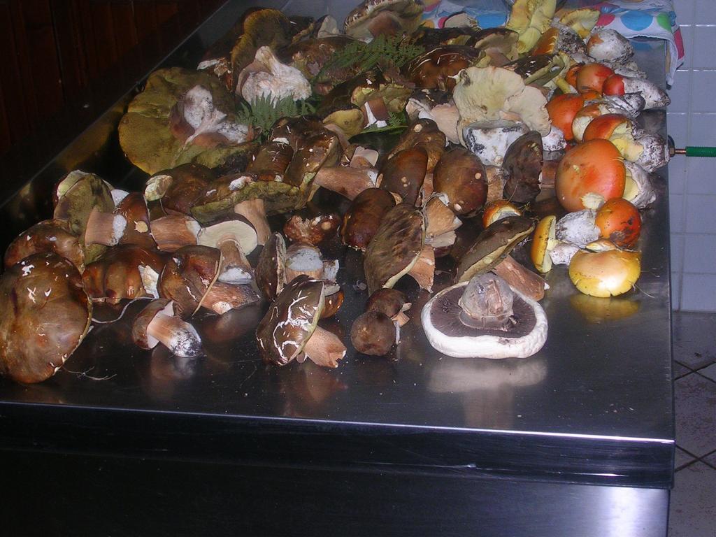 Sas Abbilas Bonorva Exterior foto
